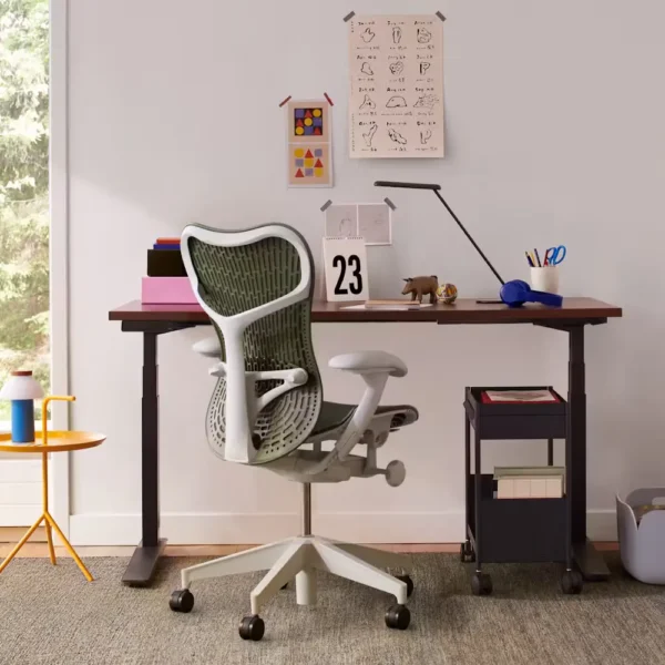 Ergonomic Office Chair and Desk